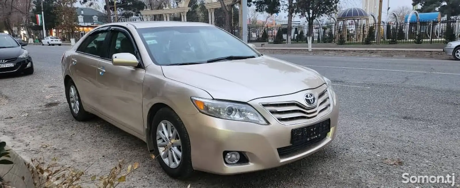 Toyota Caldina, 2010-1