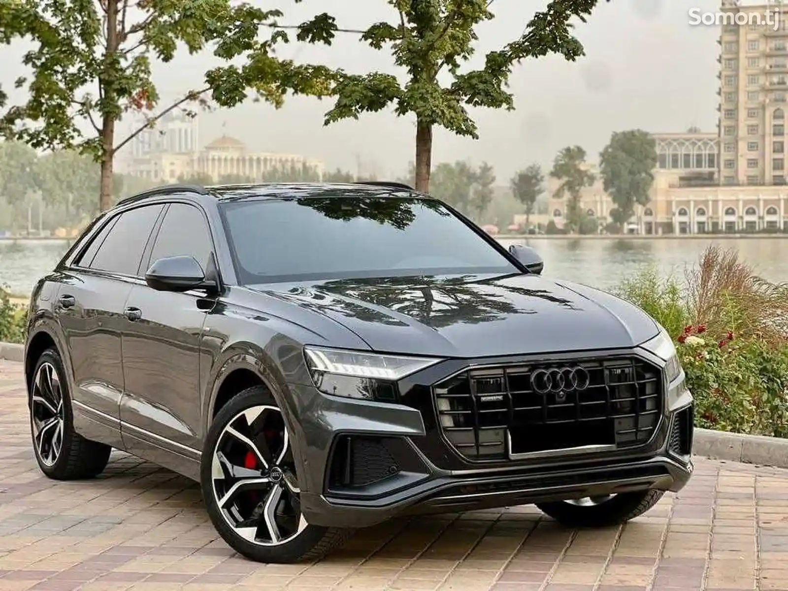 Audi Q8, 2022-1