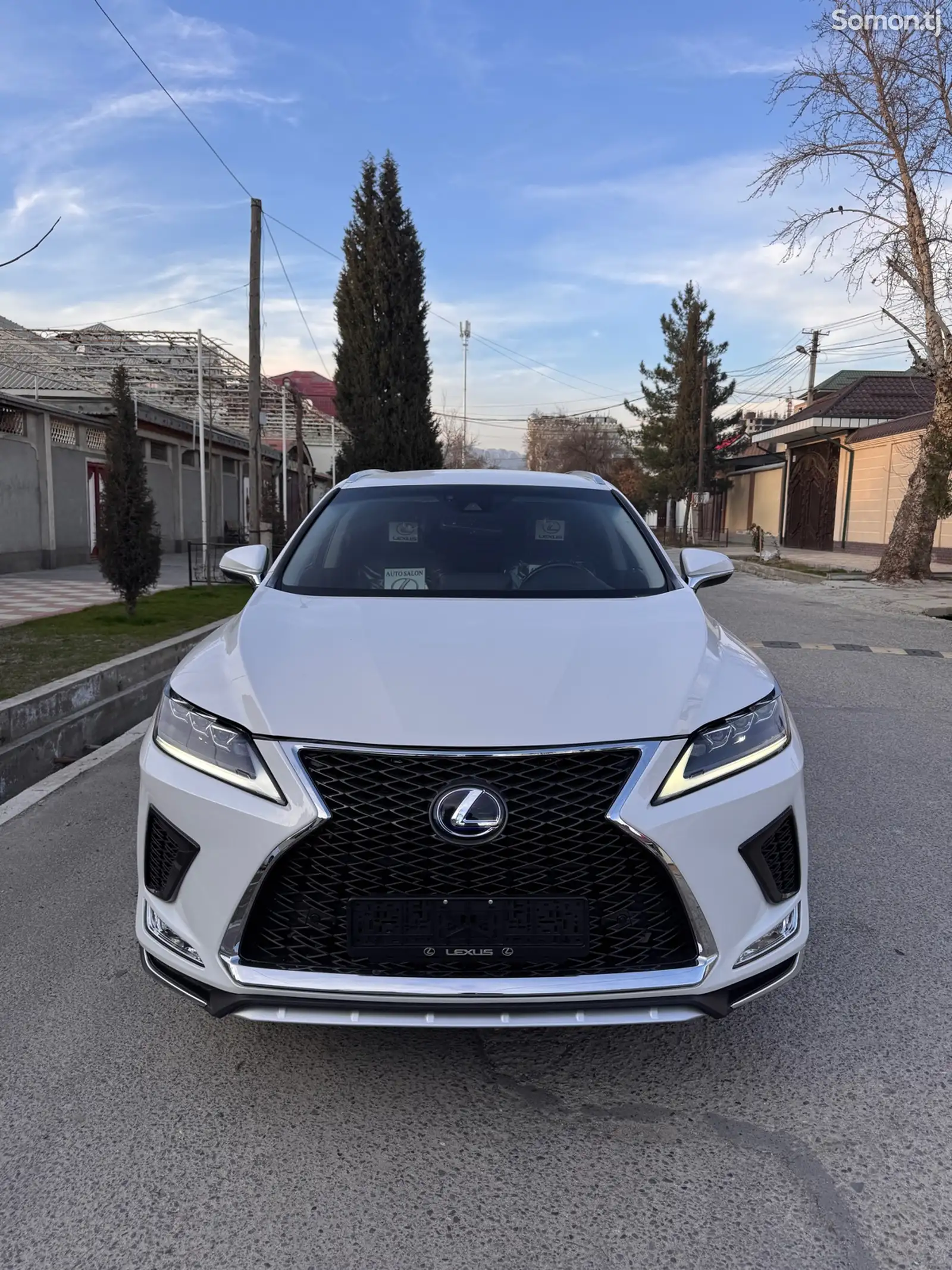 Lexus RX series, 2019-1