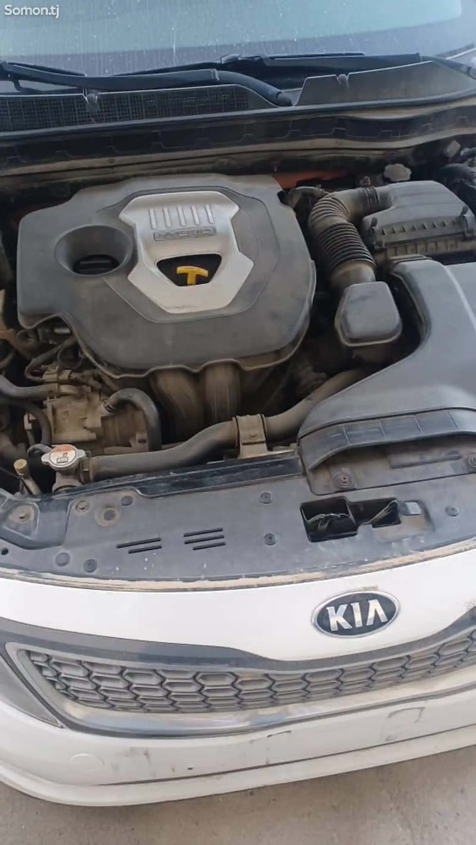 Kia K series, 2015-6