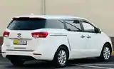 Kia Carnival, 2014-6