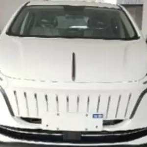 BYD Другие модели, 2024