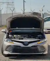 Toyota Camry, 2017-11