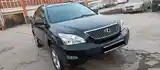 Lexus RX series, 2008-9