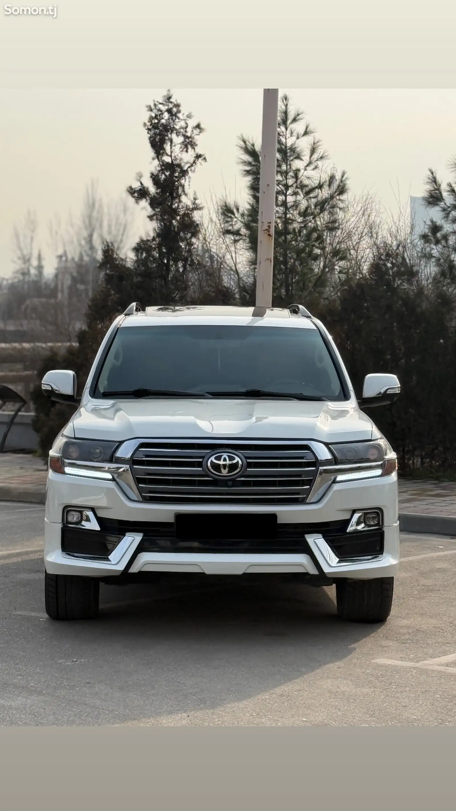 Toyota Land Cruiser, 2008-1