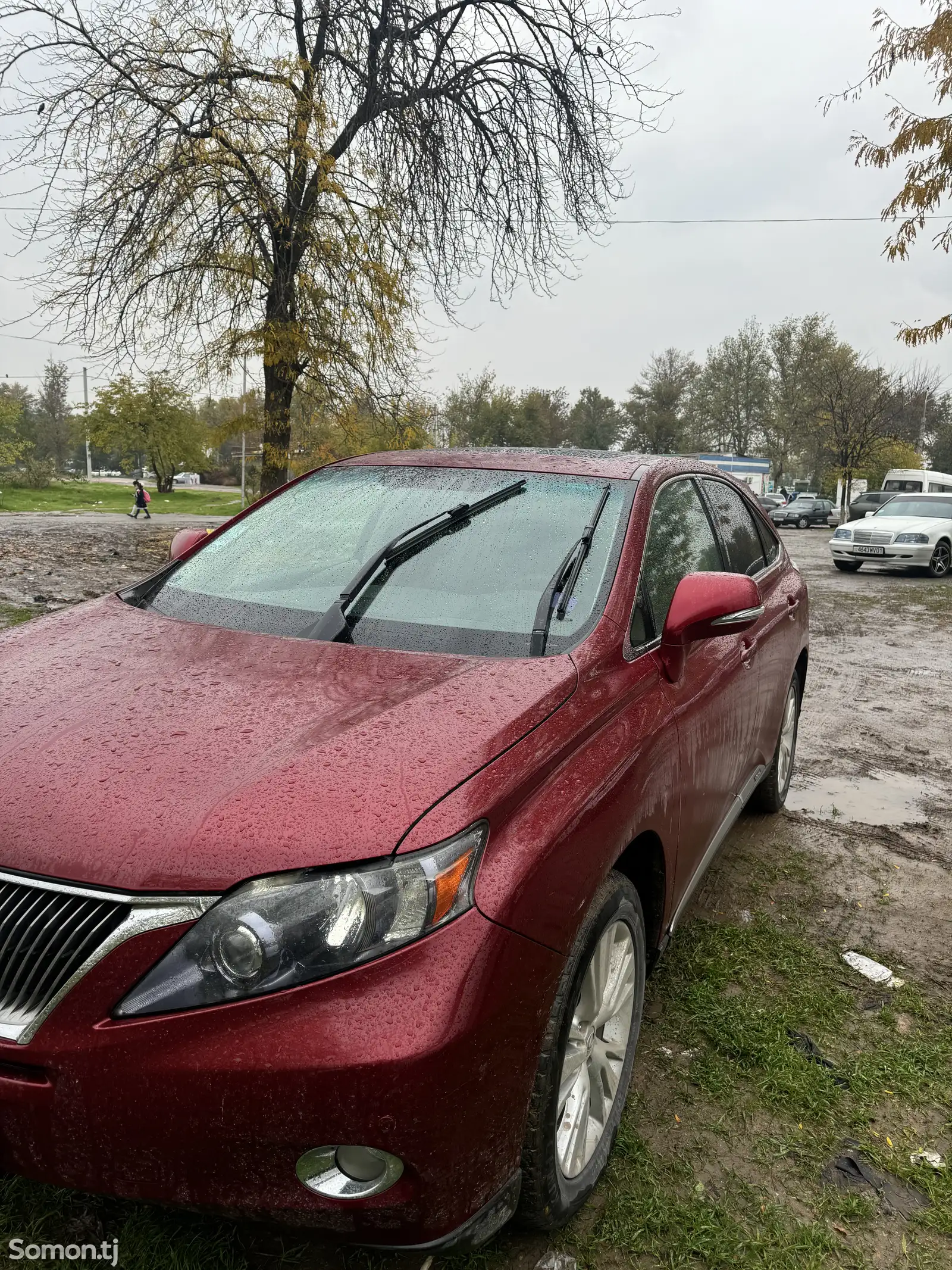 Lexus RX series, 2010