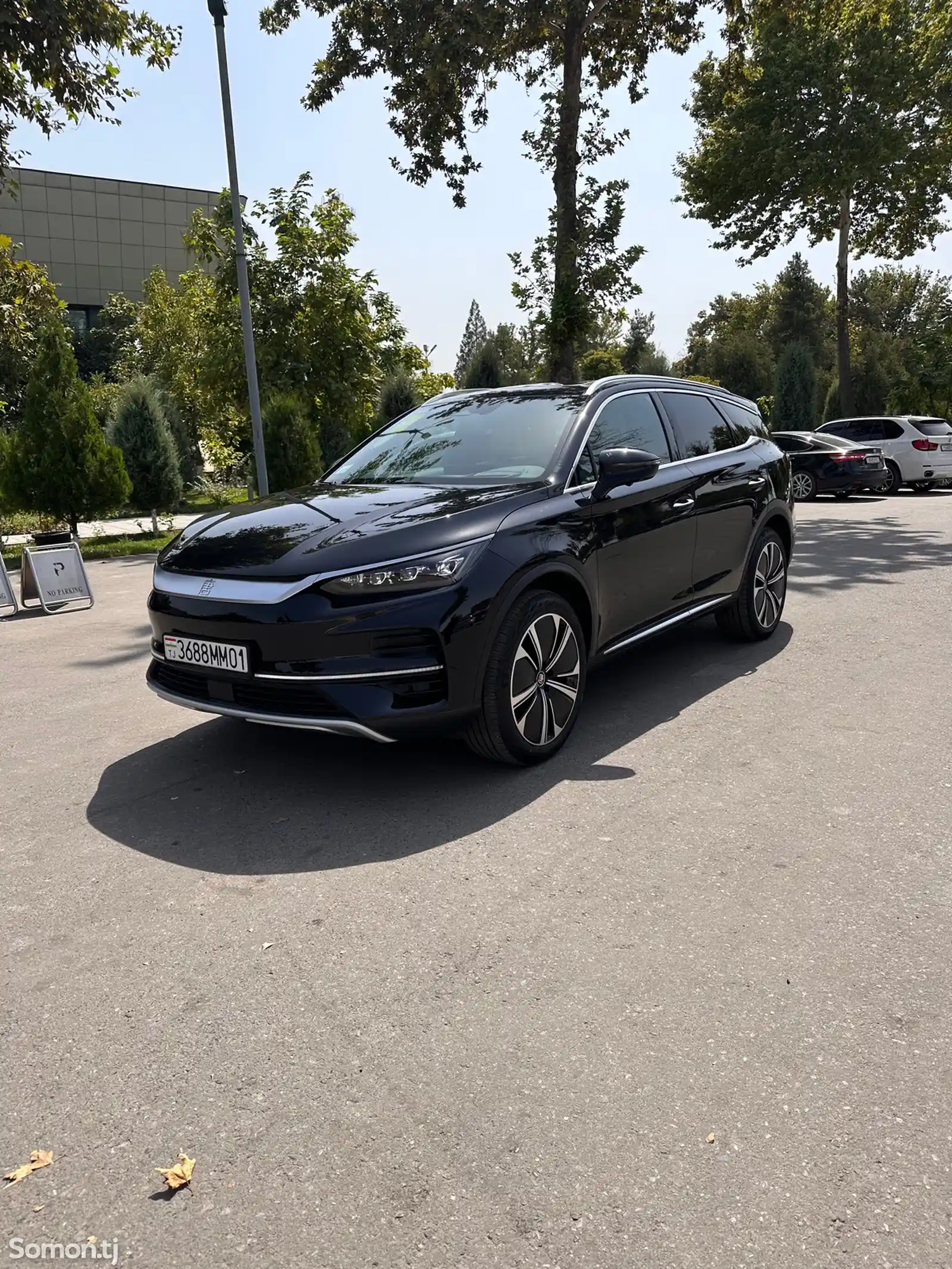 BYD Tang, 2024-1