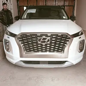 Hyundai Palisade, 2019