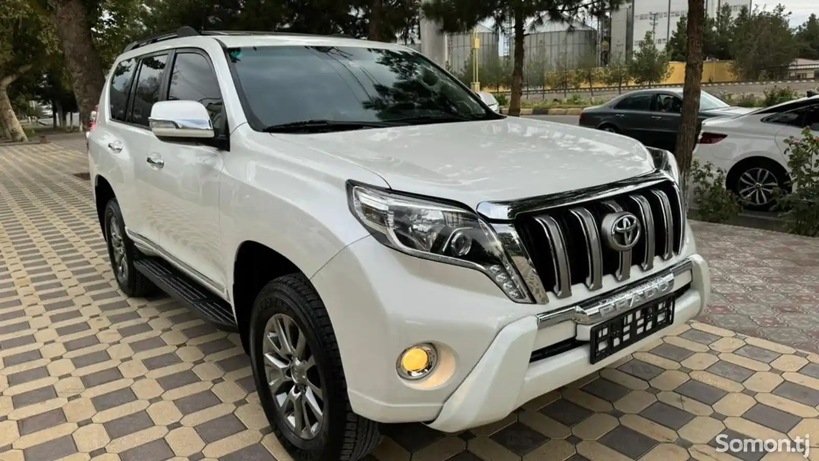 Toyota Land Cruiser Prado, 2010-4