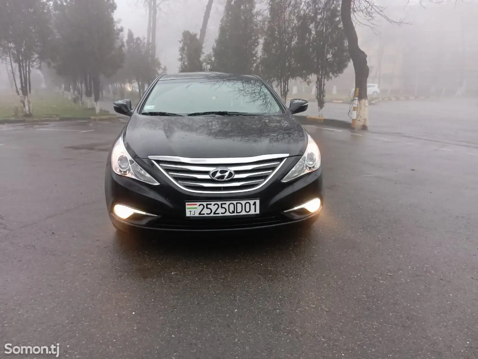 Hyundai Sonata, 2013-1