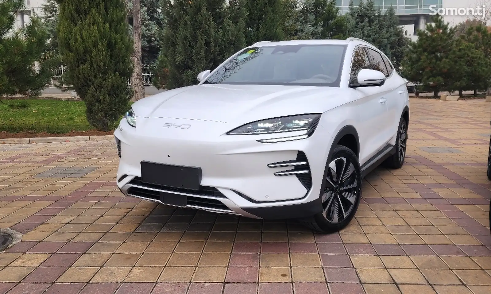 BYD Song Plus Flagship, 2024-1