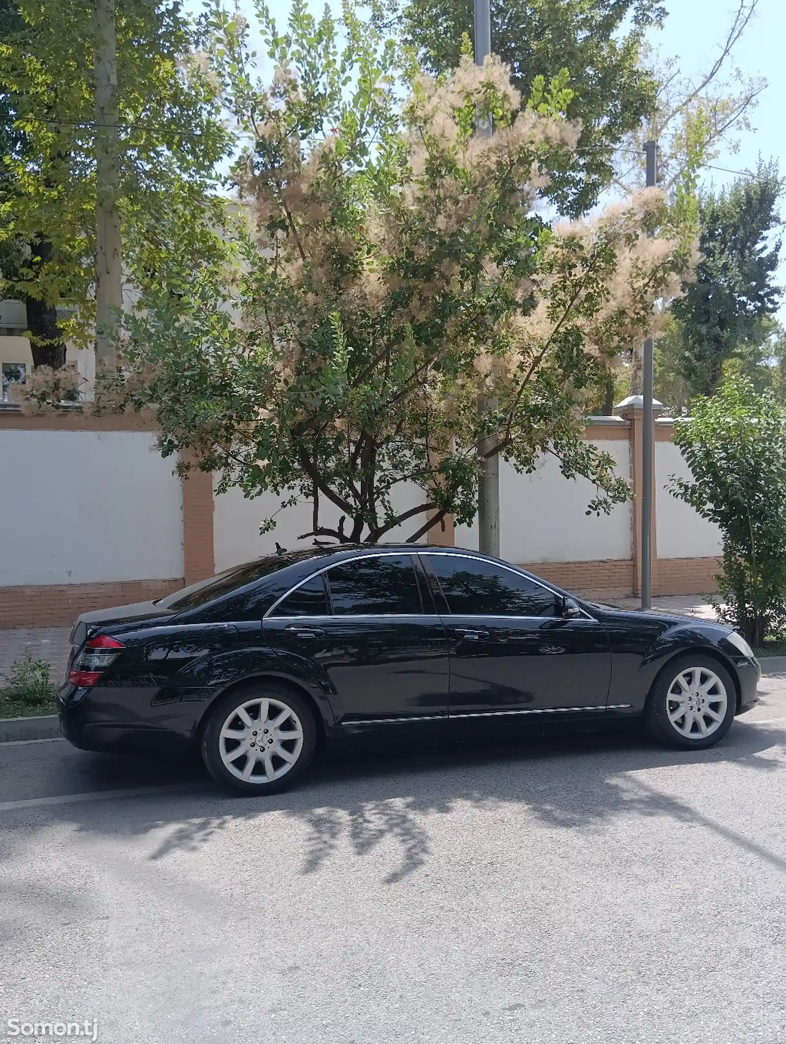 Mercedes-Benz S class, 2007-3