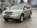 Lexus RX series, 2006-3