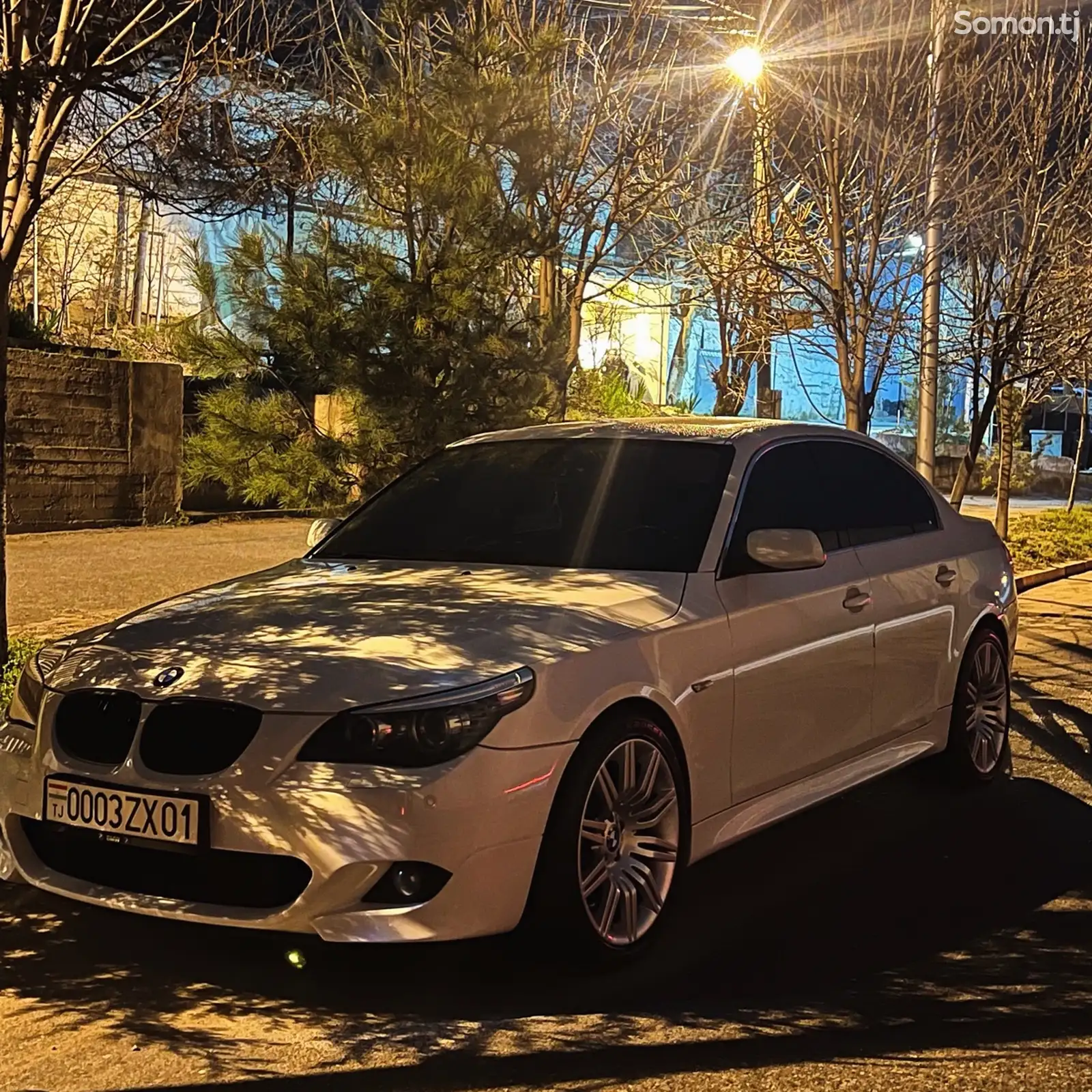 Диски BMW 172 стиль R19 E60 E61 E63-1