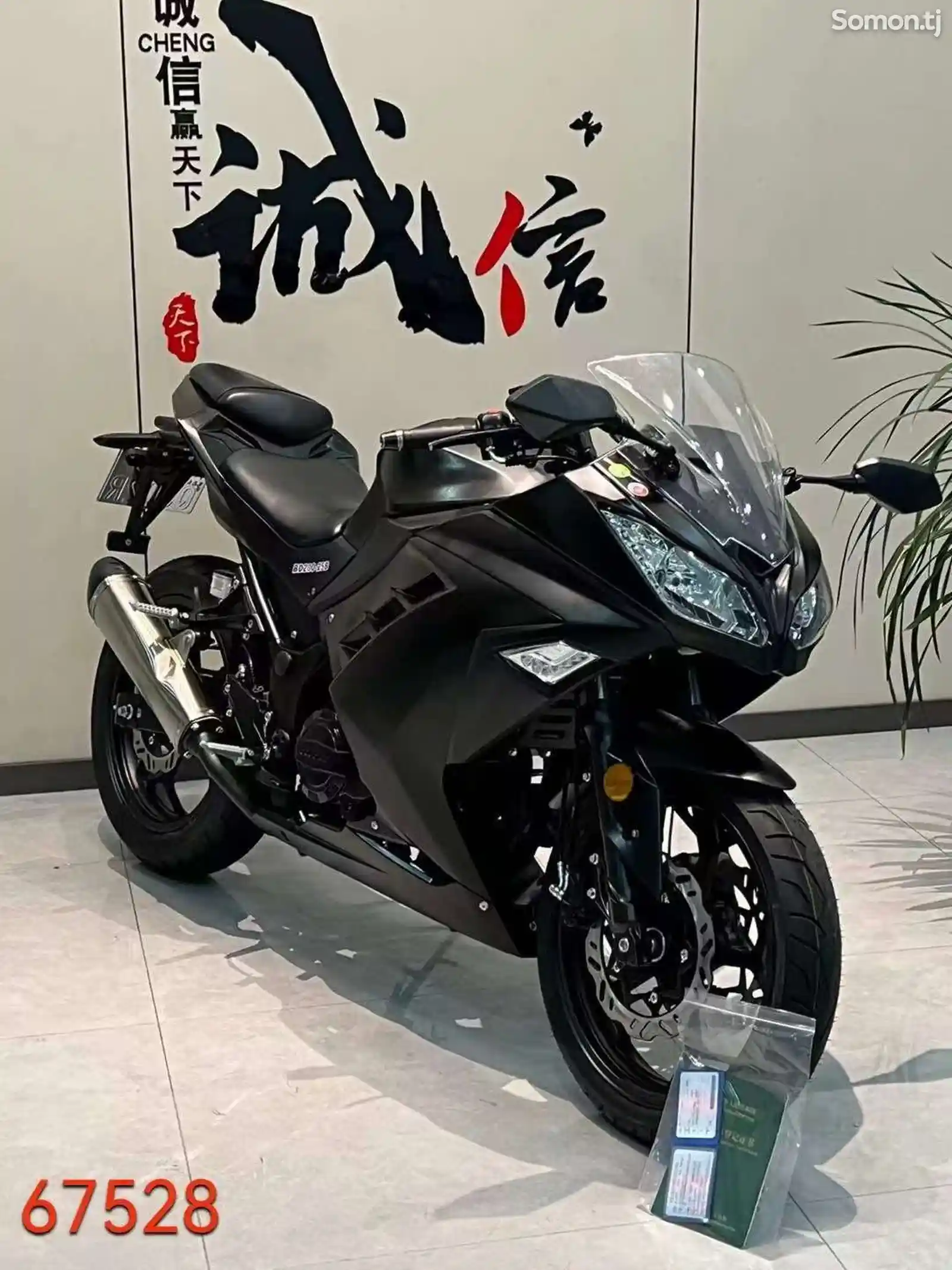 Kawasaki Ninja 200RR на заказ-2