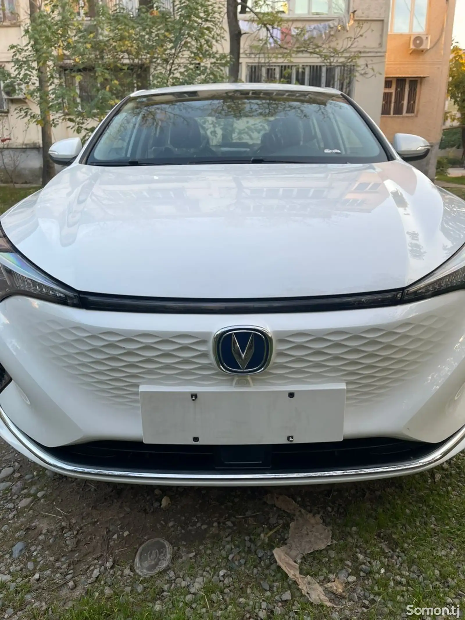 Changan Eado, 2023-1