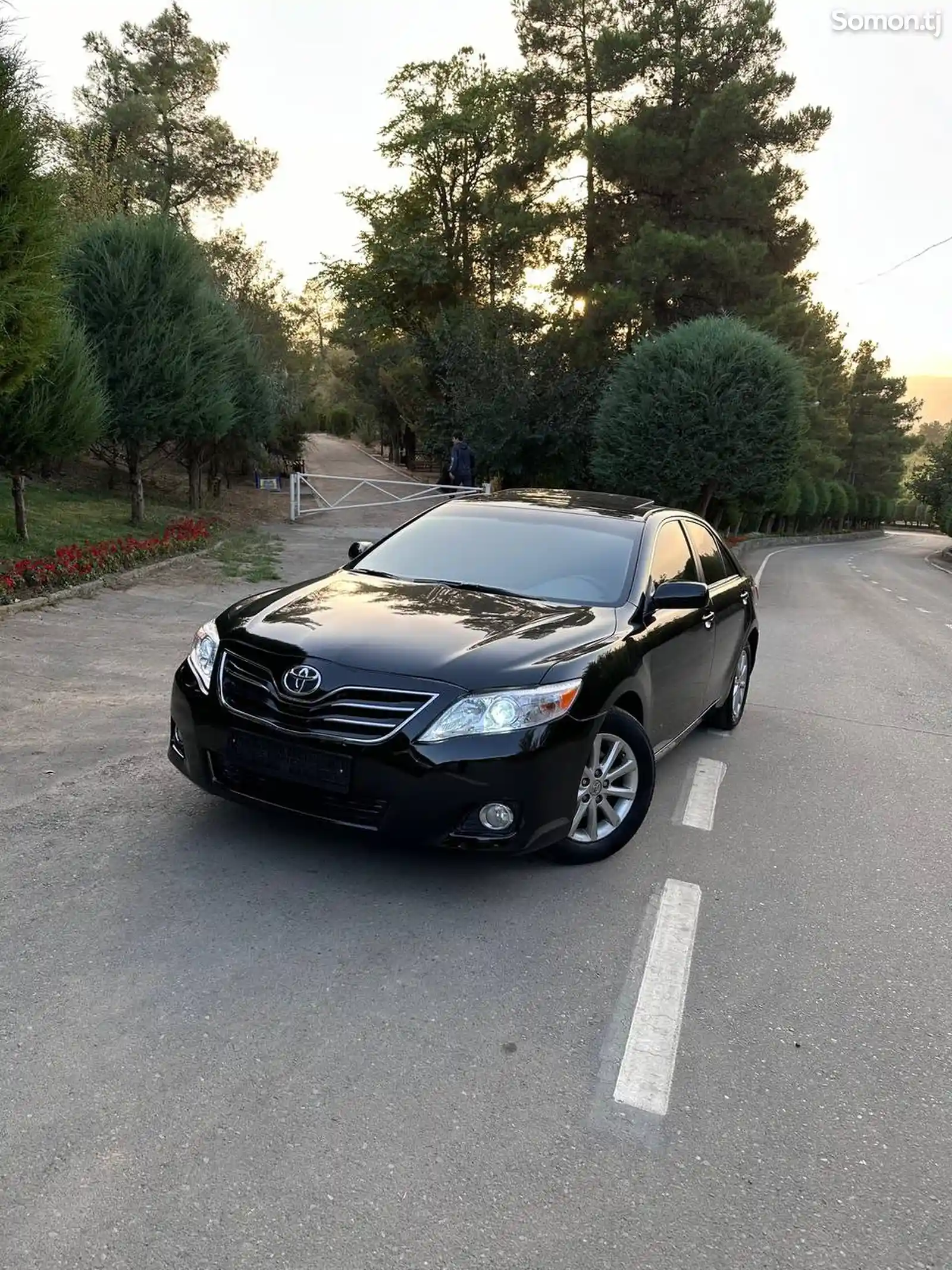 Toyota Camry, 2010-1