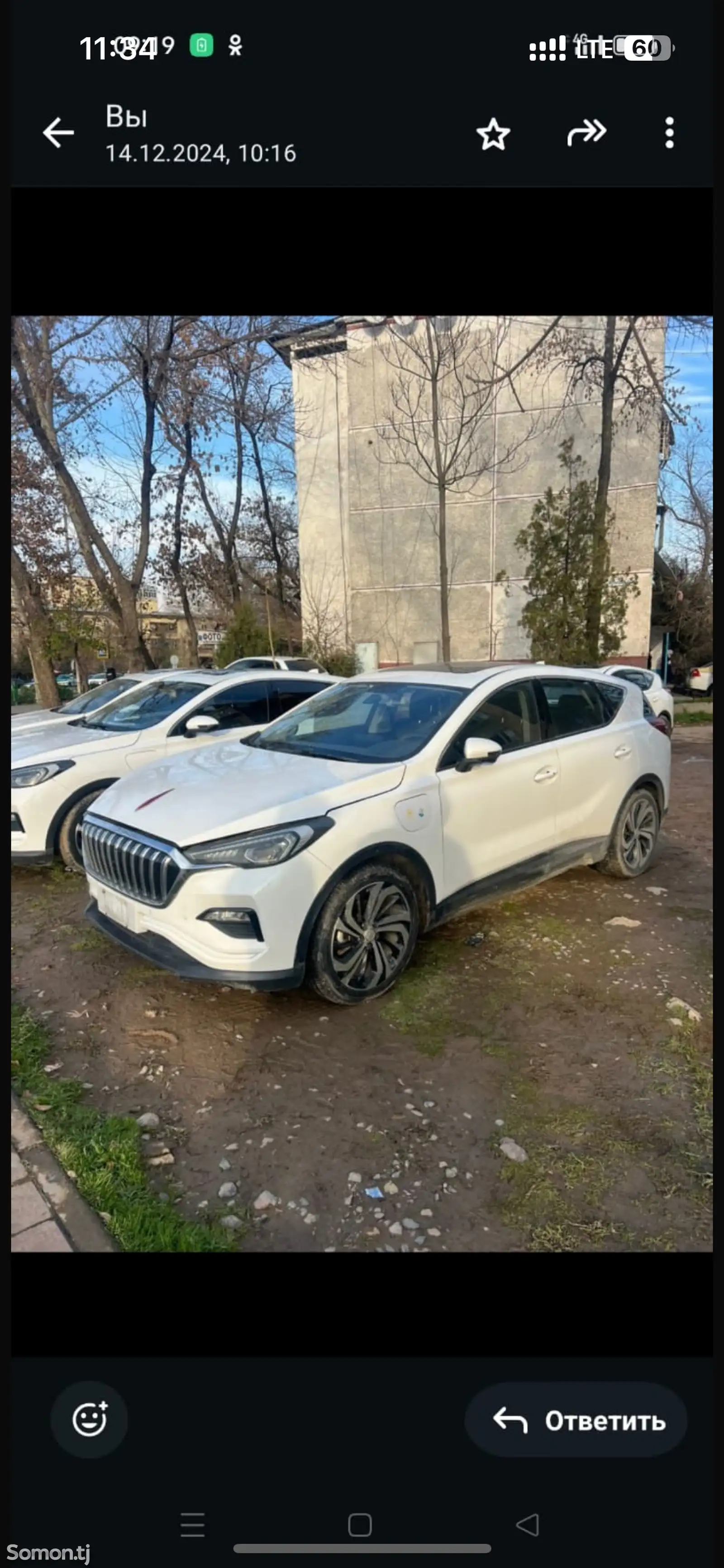 Hongqi E-HS3, 2019-1