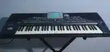 Синтезатор Korg pa800 elite-5