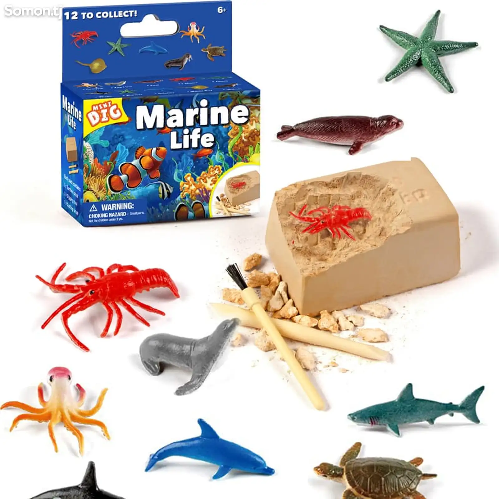 Игра раскопки Marine Life