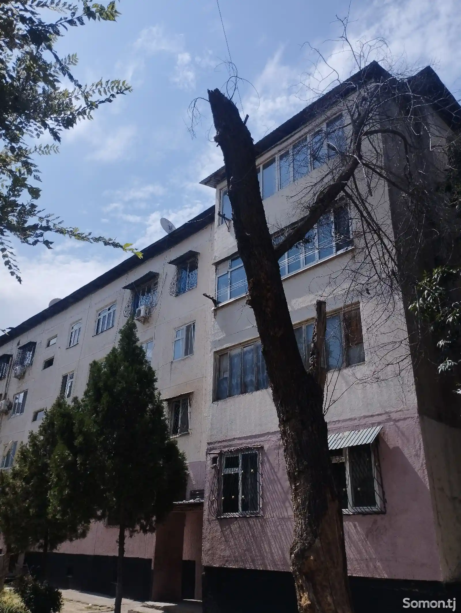 1-комн. квартира, 3 этаж, 38 м², Политехникум-1