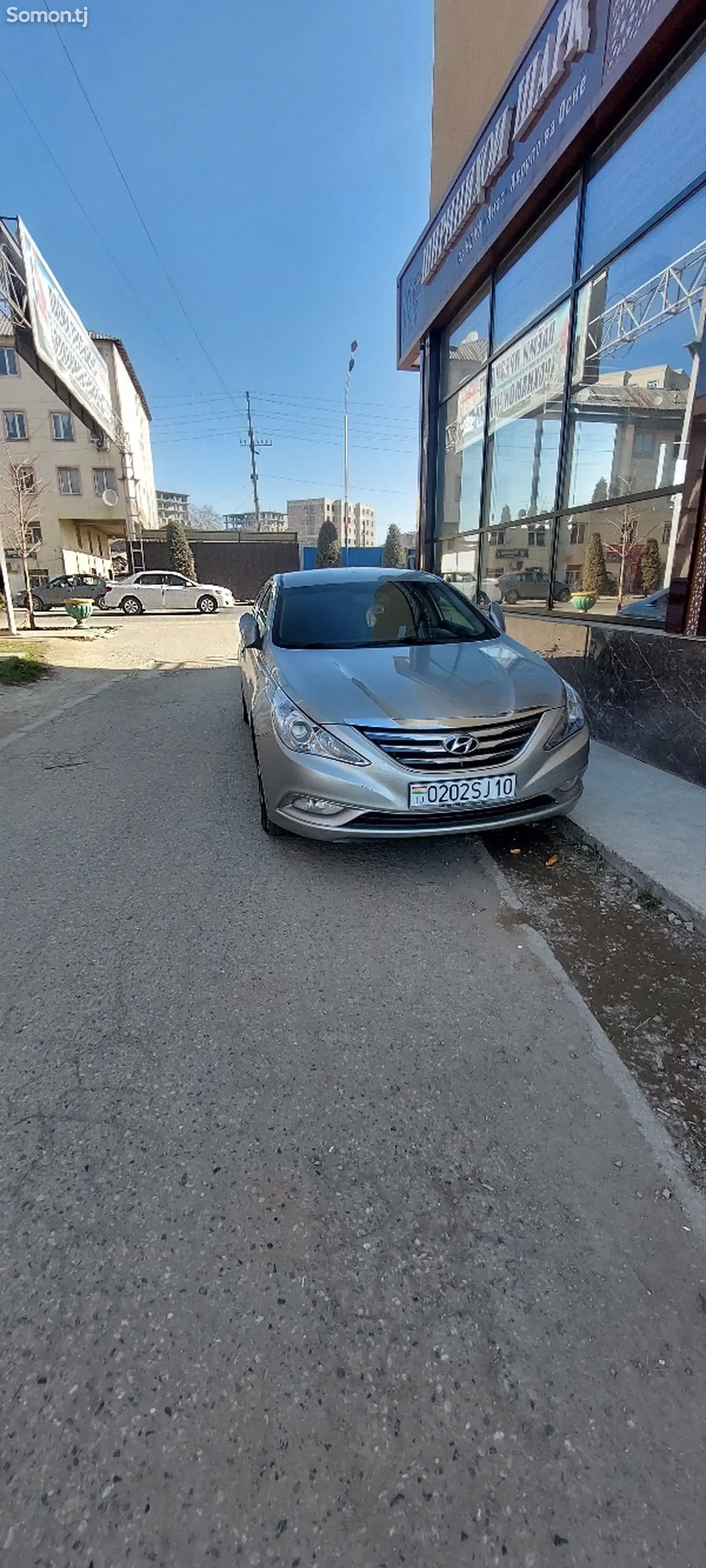 Hyundai Sonata, 2010-1