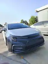 Toyota Corolla, 2020-12