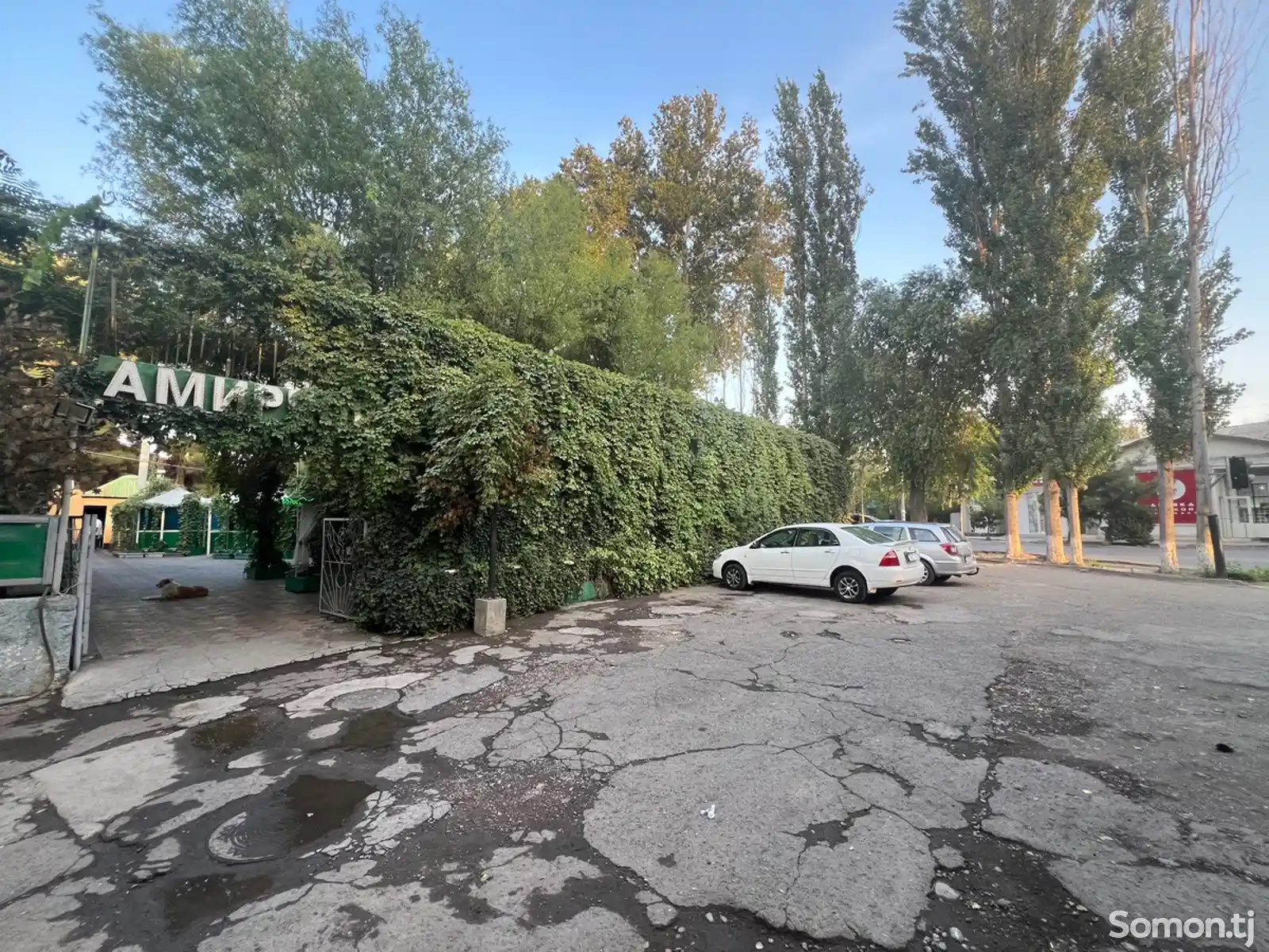 Помещение под ресторан / бар, 1100м², улица Пушкина 15-1