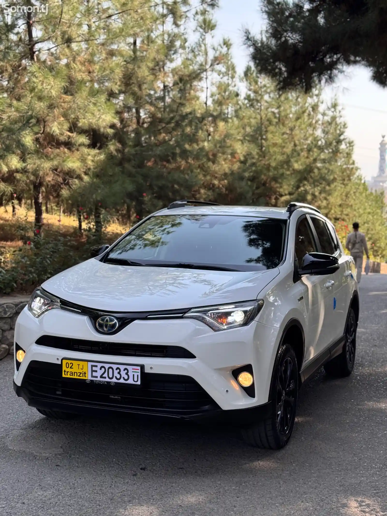 Toyota RAV 4, 2019-3