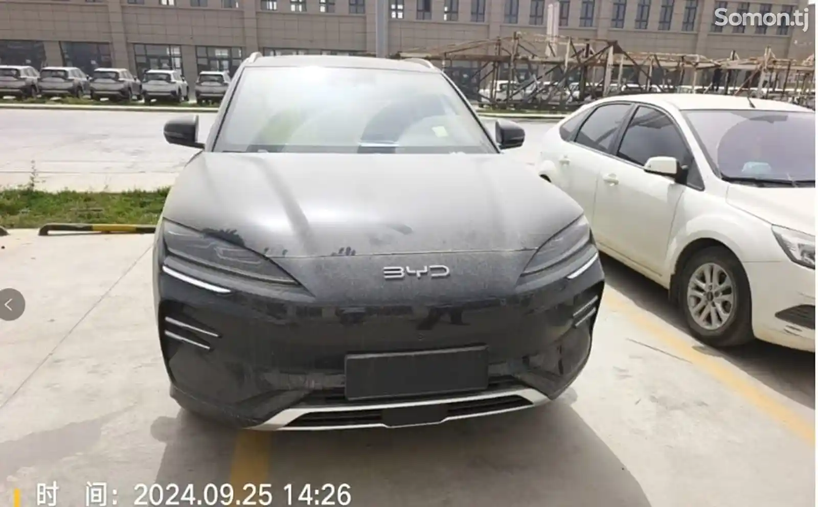 BYD Song Plus Flagship, 2024-1