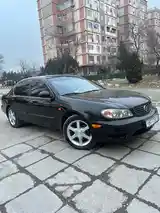 Nissan Maxima, 2007-10