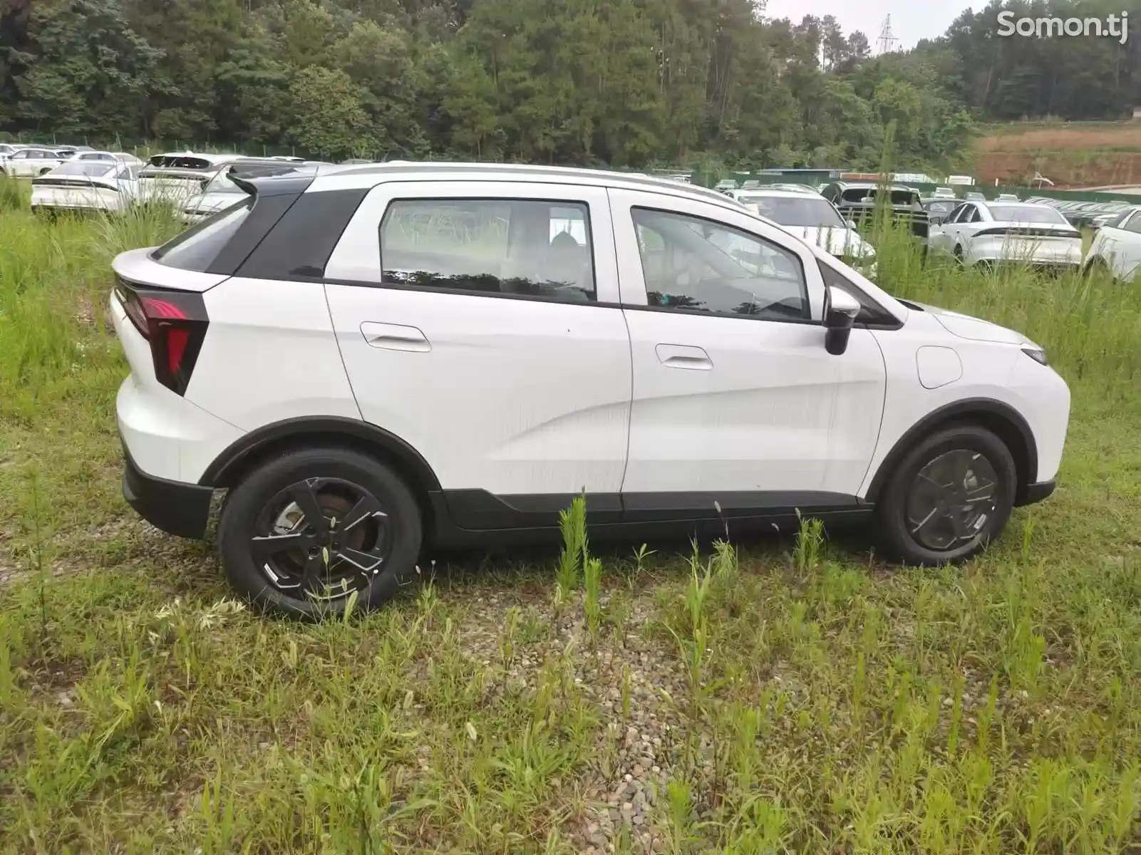 Geely Geometry E, 2024 на заказ-6