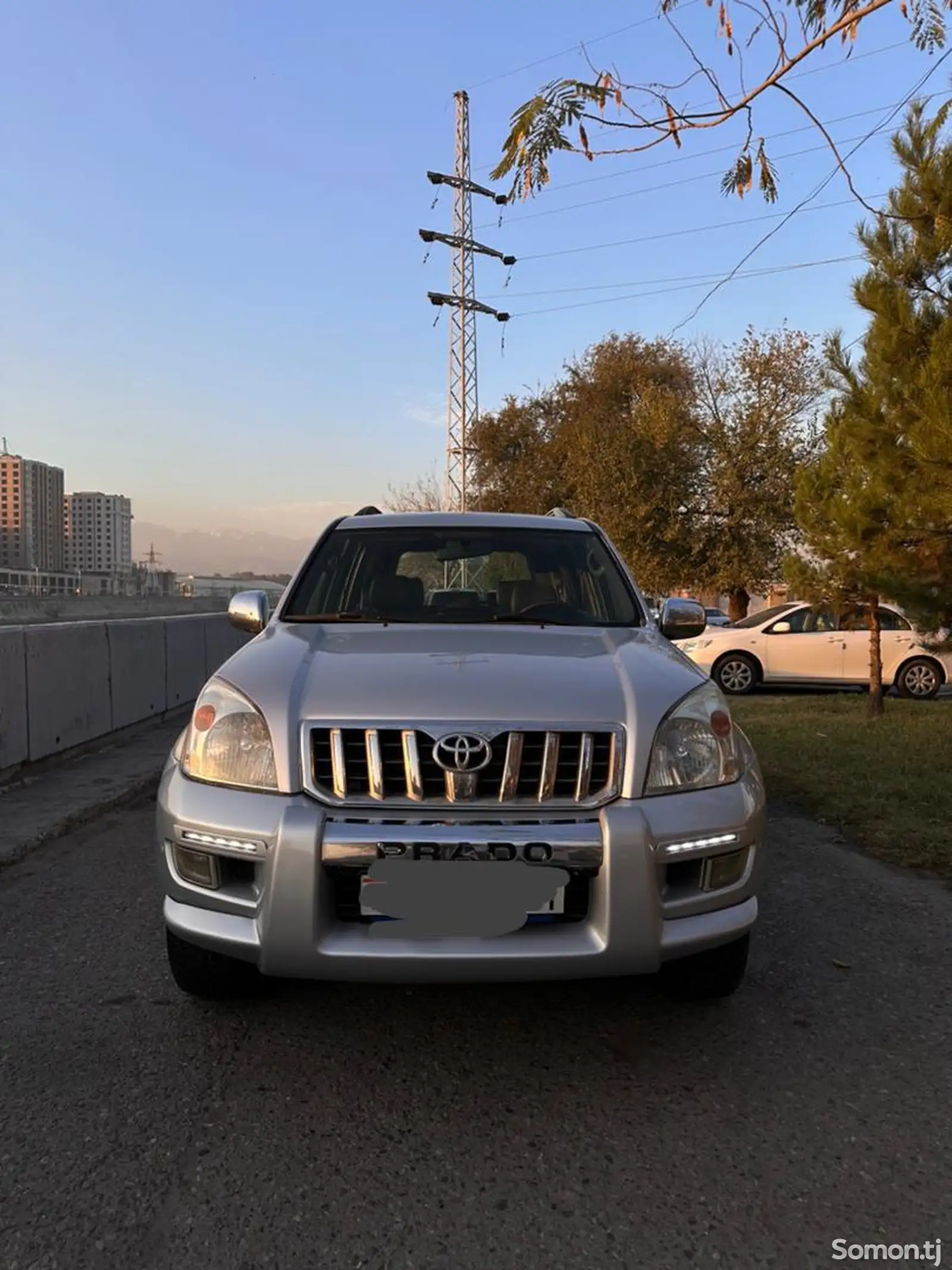 Toyota Land Cruiser Prado, 2009-1