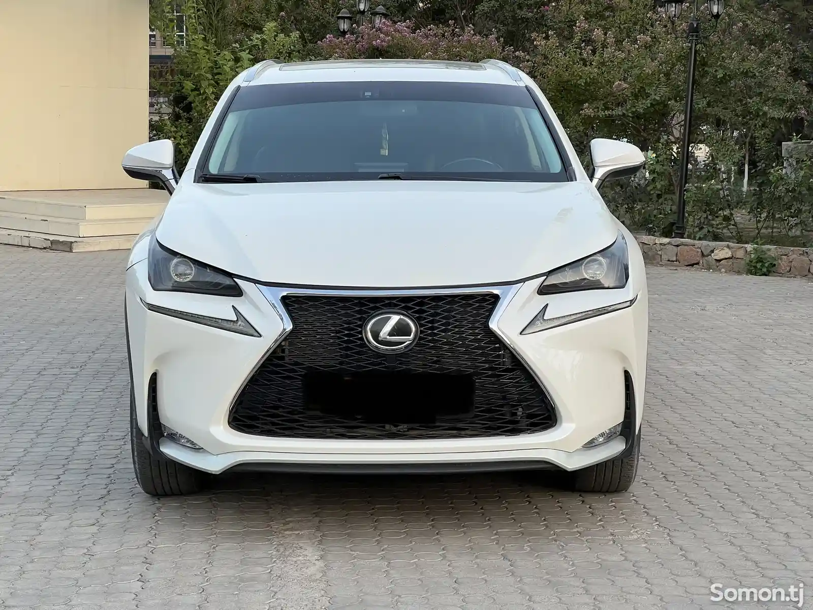 Lexus NX series, 2015-2