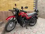 Мотоцикл GLX-Suzuki 200cc куба-3