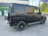 Mercedes-Benz G class, 2004-3