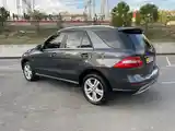 Mercedes-Benz ML class, 2012-5