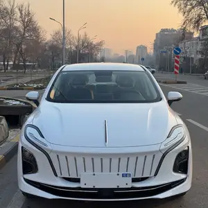 Hongqi E-QM5, 2024