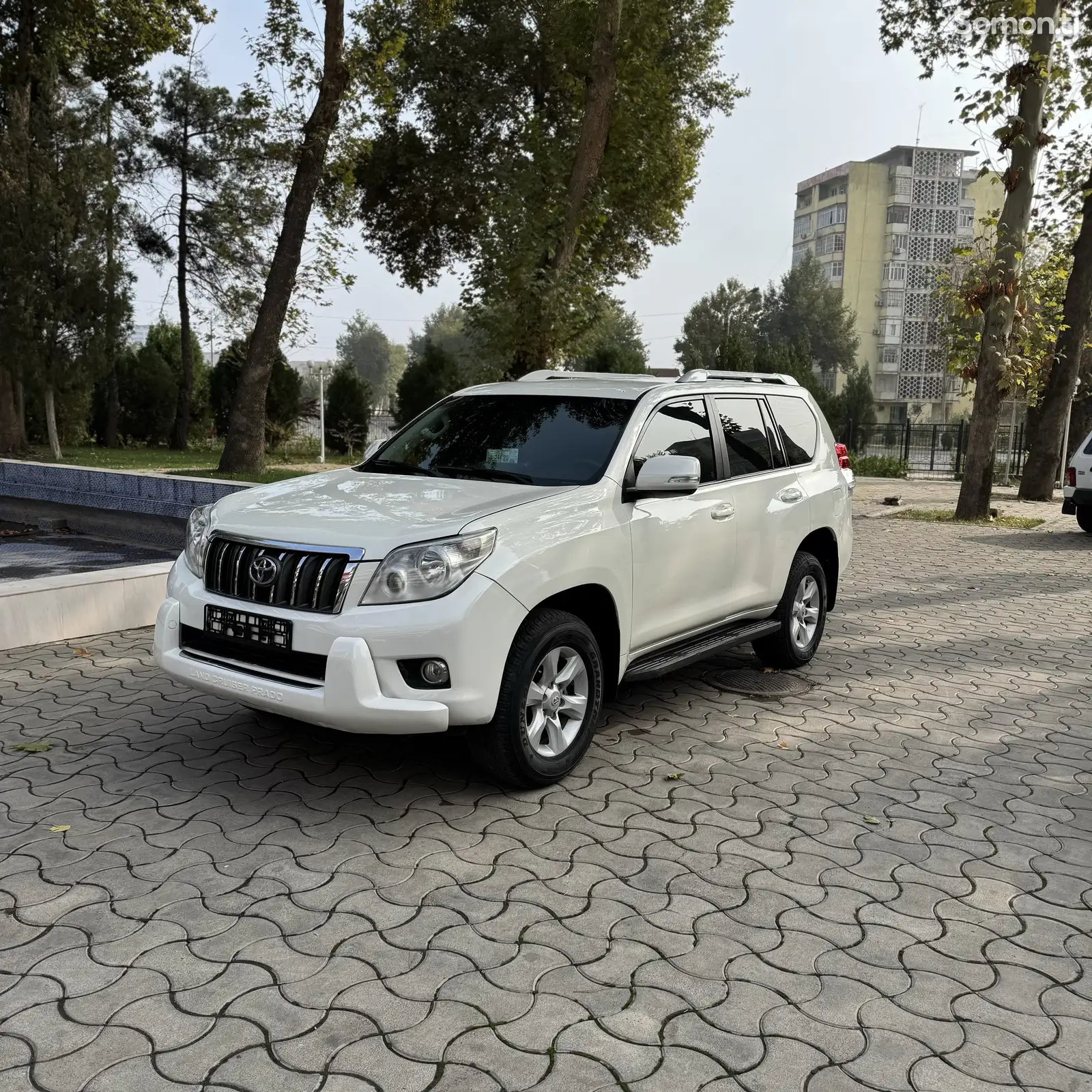 Toyota Land Cruiser Prado, 2011-9