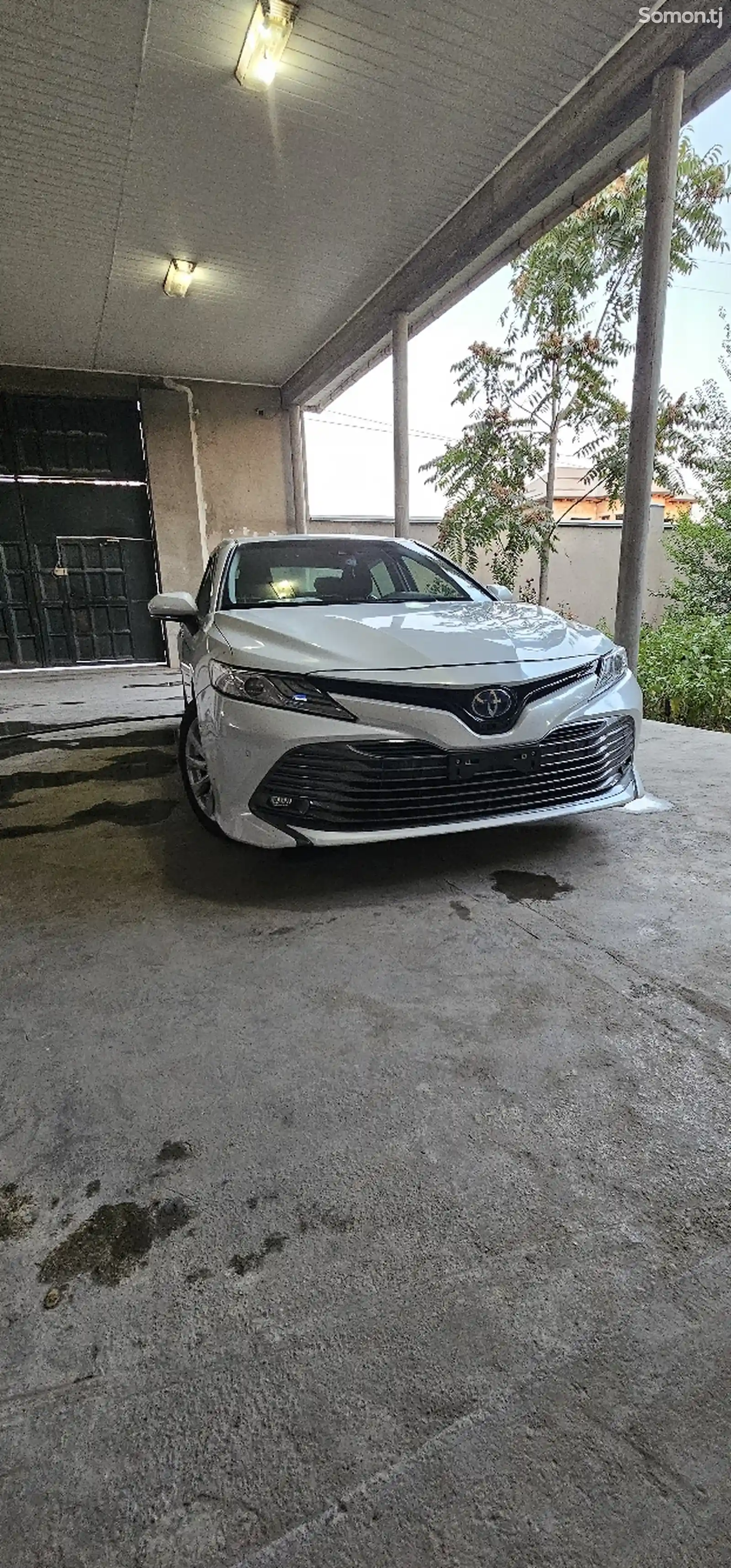 Toyota Camry, 2019-1