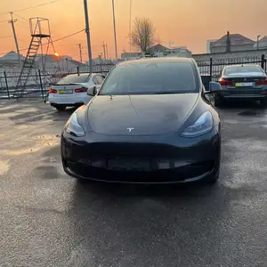 Tesla Model Y, 2024