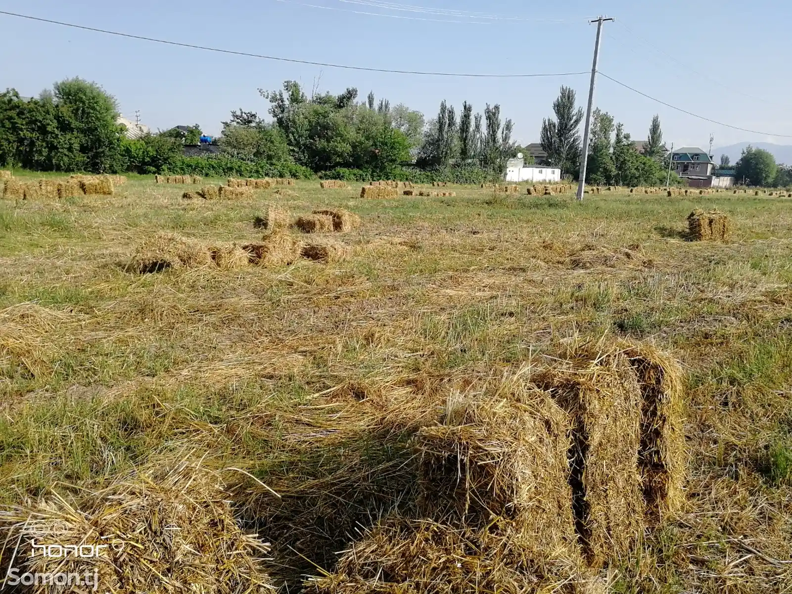 Пресси Алаф бо гандум омехта-3