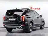 Hyundai Palisade, 2020-3