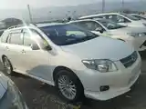 Toyota Fielder, 2007-4