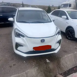 Changan Benben E-Star, 2023