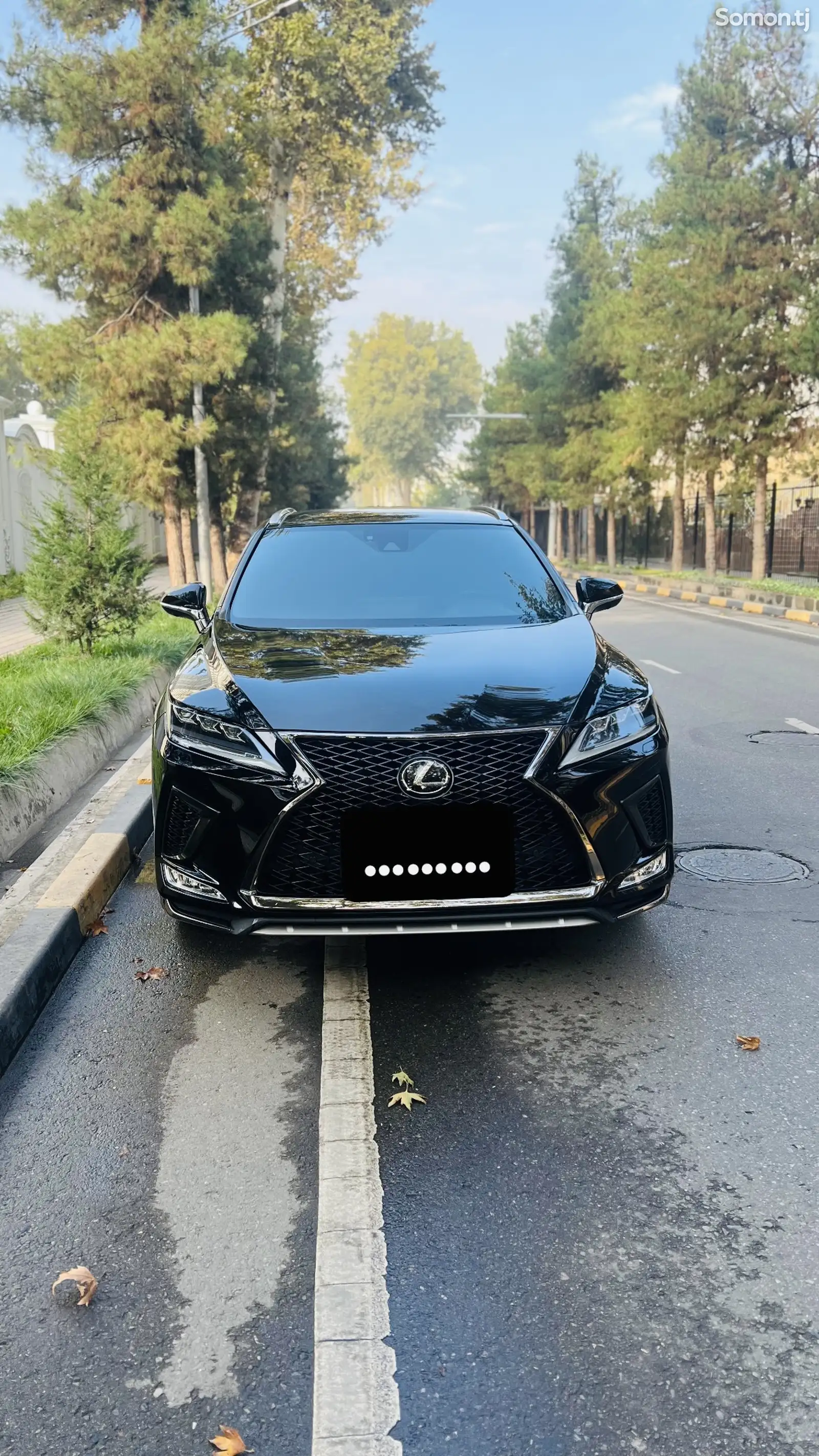 Lexus RX series, 2022-1