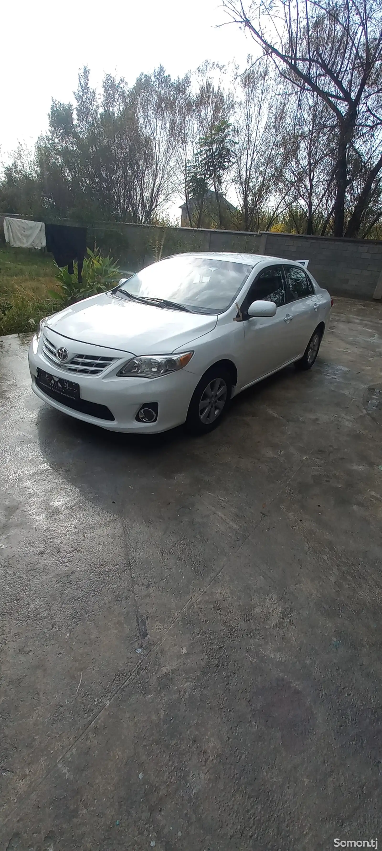 Toyota Corolla, 2011-1