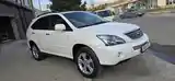 Lexus RX series, 2008-3