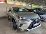 Lexus NX series, 2022-2