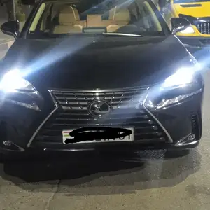 Lexus NX series, 2019